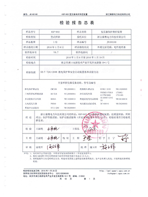 綜保檢驗(yàn)報告總結(jié)4